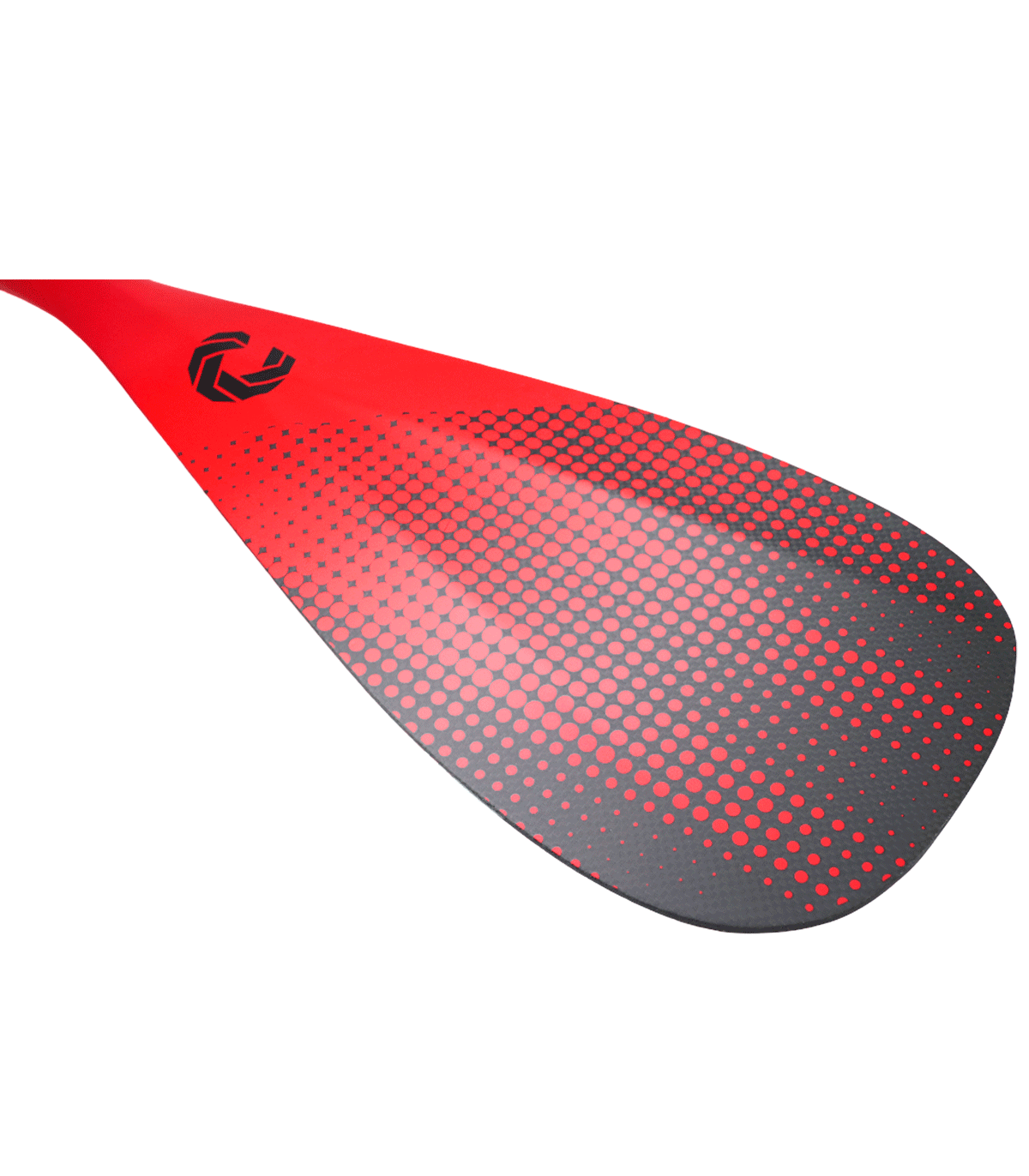 REMO O PALA PADDLE SURF 2 PIEZAS CAGUIRO CARBON PRO 100%