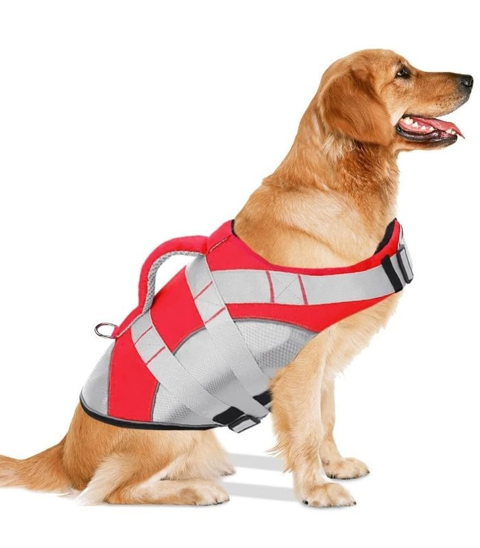 CHALECO SALVAVIDAS PREMIUM PARA PERRO