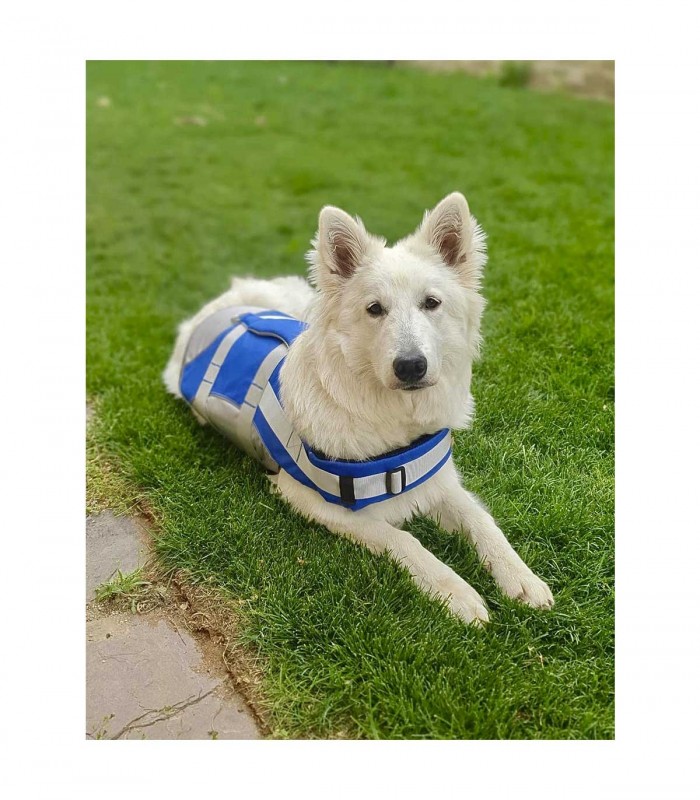 CHALECO SALVAVIDAS PREMIUM PARA PERRO