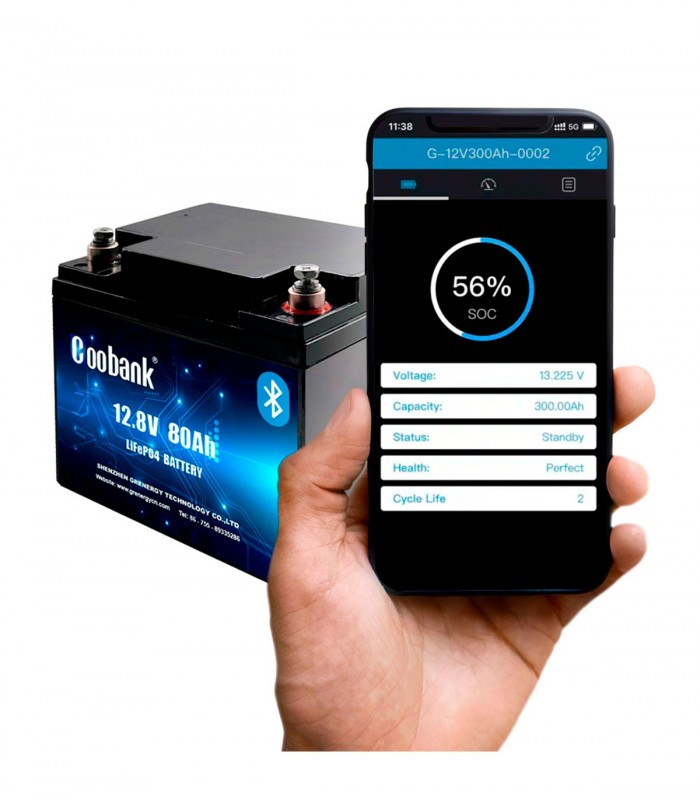 BATERÍA LITIO BT 60AH - 100AH MOTOR ELÉCTRICO