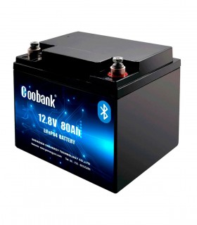 BATERÍA LITIO BT 60AH - 100AH MOTOR ELÉCTRICO