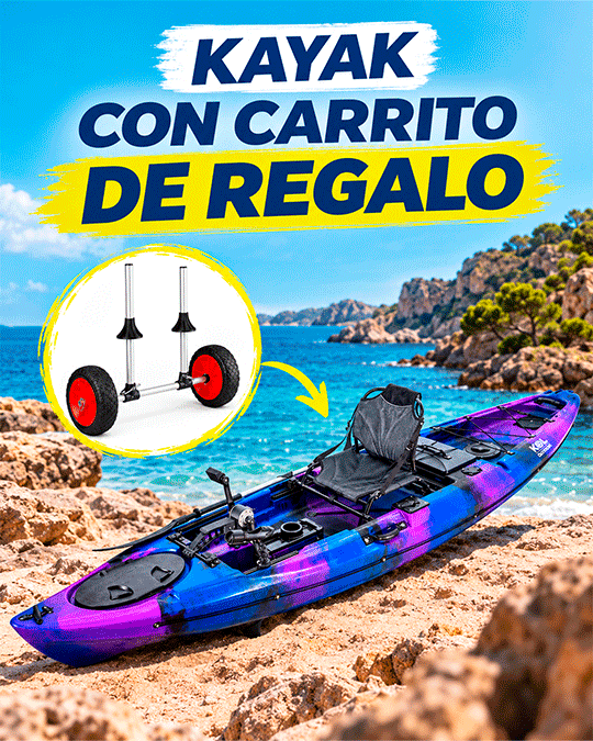 Dolphin Cka01